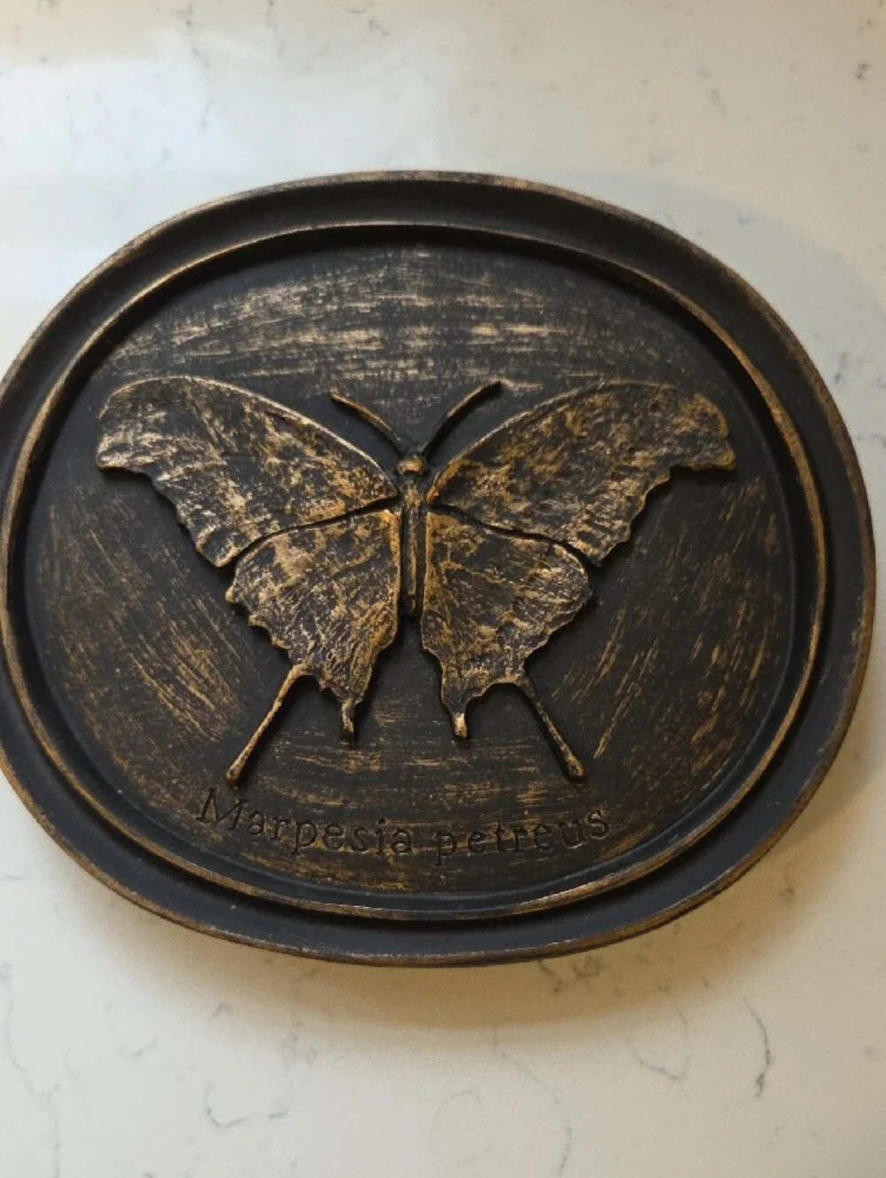 Bronze Butterfly Wall Plaque - Marpesia petreus